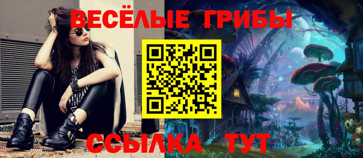 Богданович  Галлюциногенные грибы MAGIC MUSHROOMS  Вход с VPN 